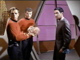 Tribbles who revealed that Darvin was a Klingon